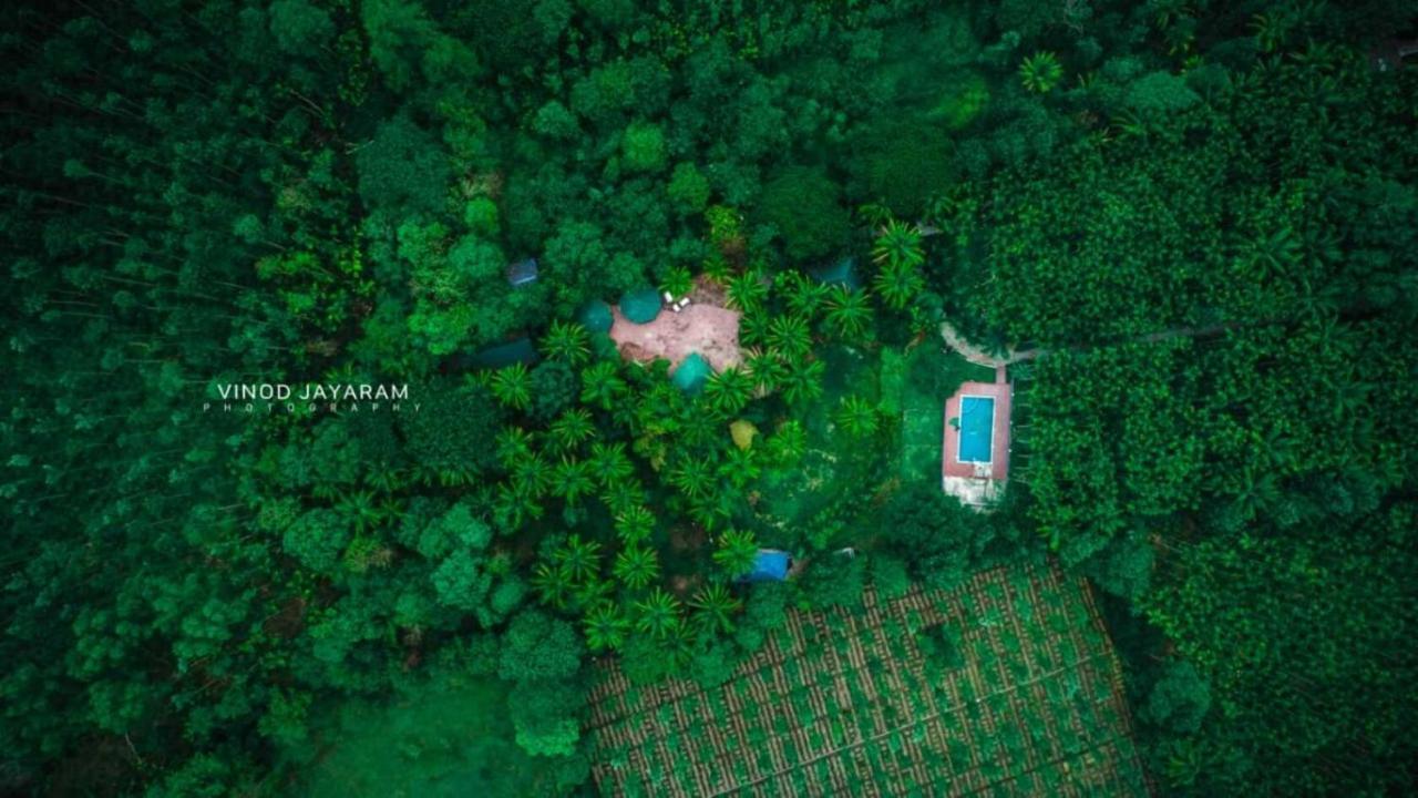 Staymaker Coorg Jungle Stay Resort Kushalnagar Exterior photo