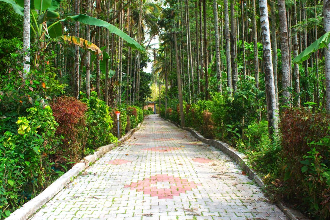 Staymaker Coorg Jungle Stay Resort Kushalnagar Exterior photo